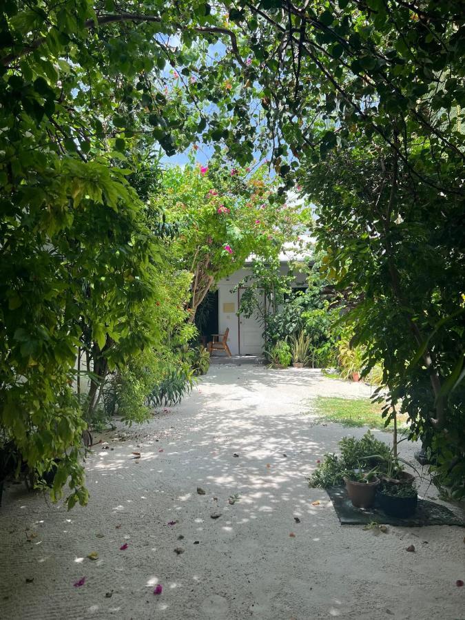 Lagoon Villa Maldives Thoddoo Extérieur photo